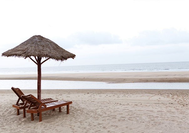 Packers and Movers in Mandvi 