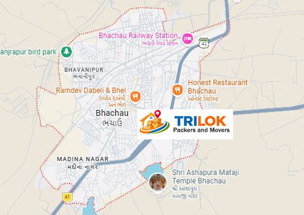 Packers and Movers in Bhachau 