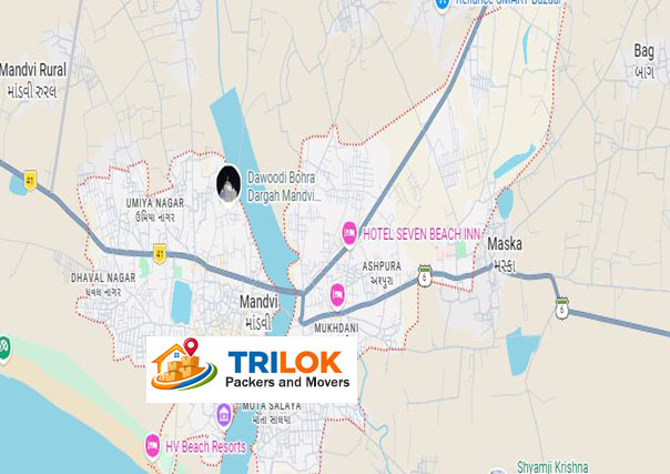 Packers and Movers in Mandvi 