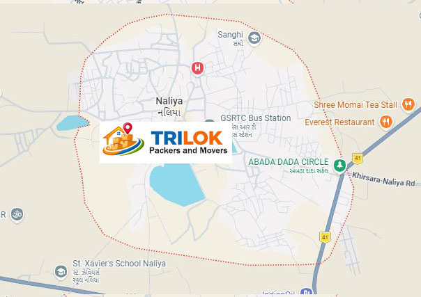 Packers and Movers in Naliya 