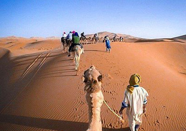 Packers and Movers in Samakhiali 